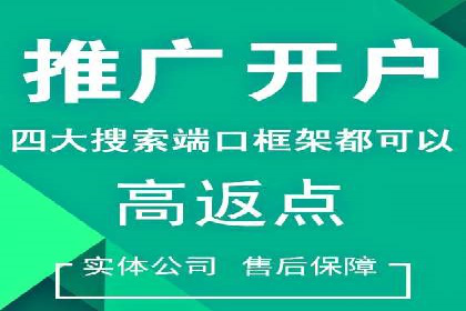 行业专家解析SEM代运营成功案例